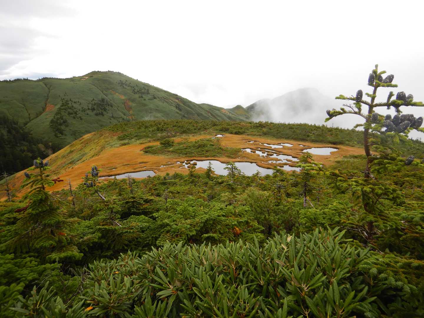 たまご石から見る景色
草紅葉に池塘　きれい～♪
