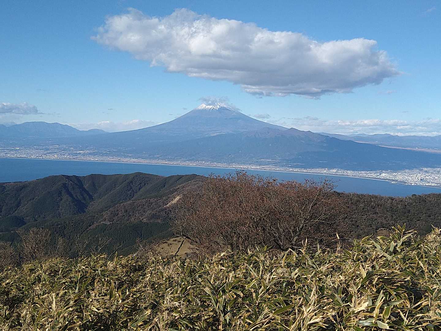 達磨山からFUJI