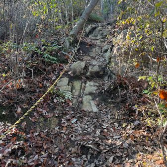 ロープ場の急登。