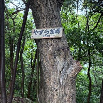 やすらぎ峰