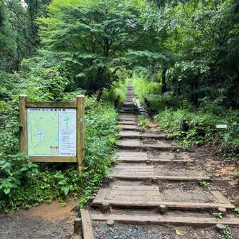 もみじ台までの階段