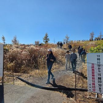 登山口