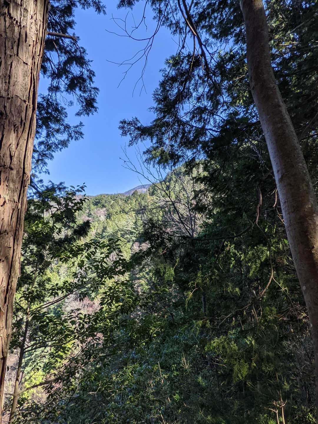 前山登山口-前山 往復コースの写真