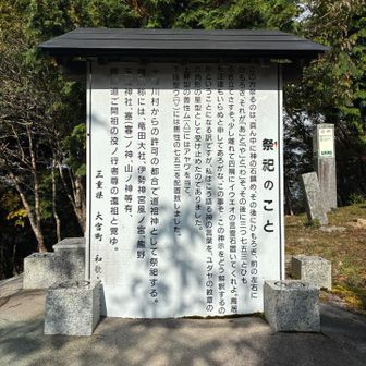 側面にあった説明
良く分からないが祀りたかったんやな。