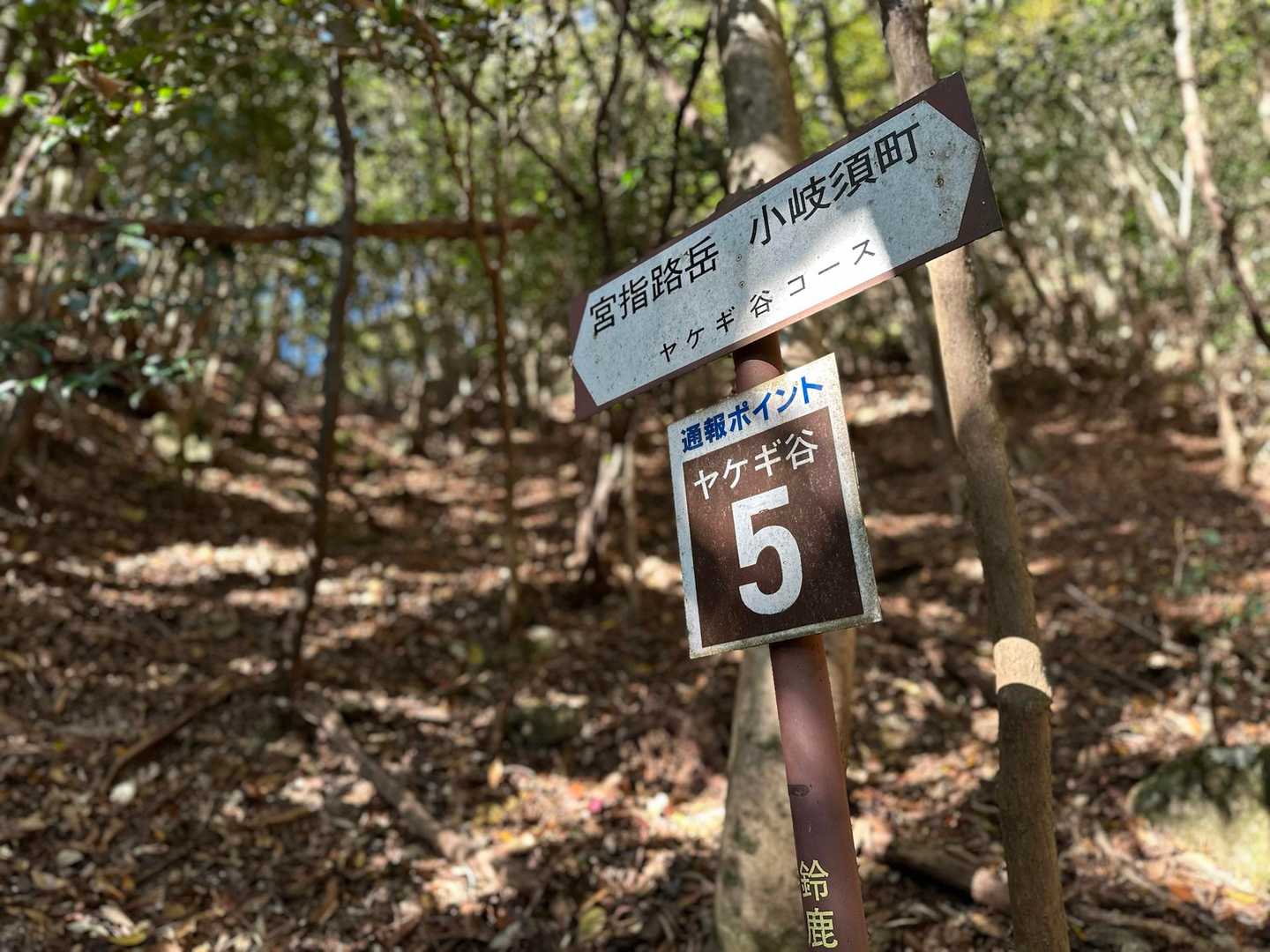 宮指路岳 往復コースの写真