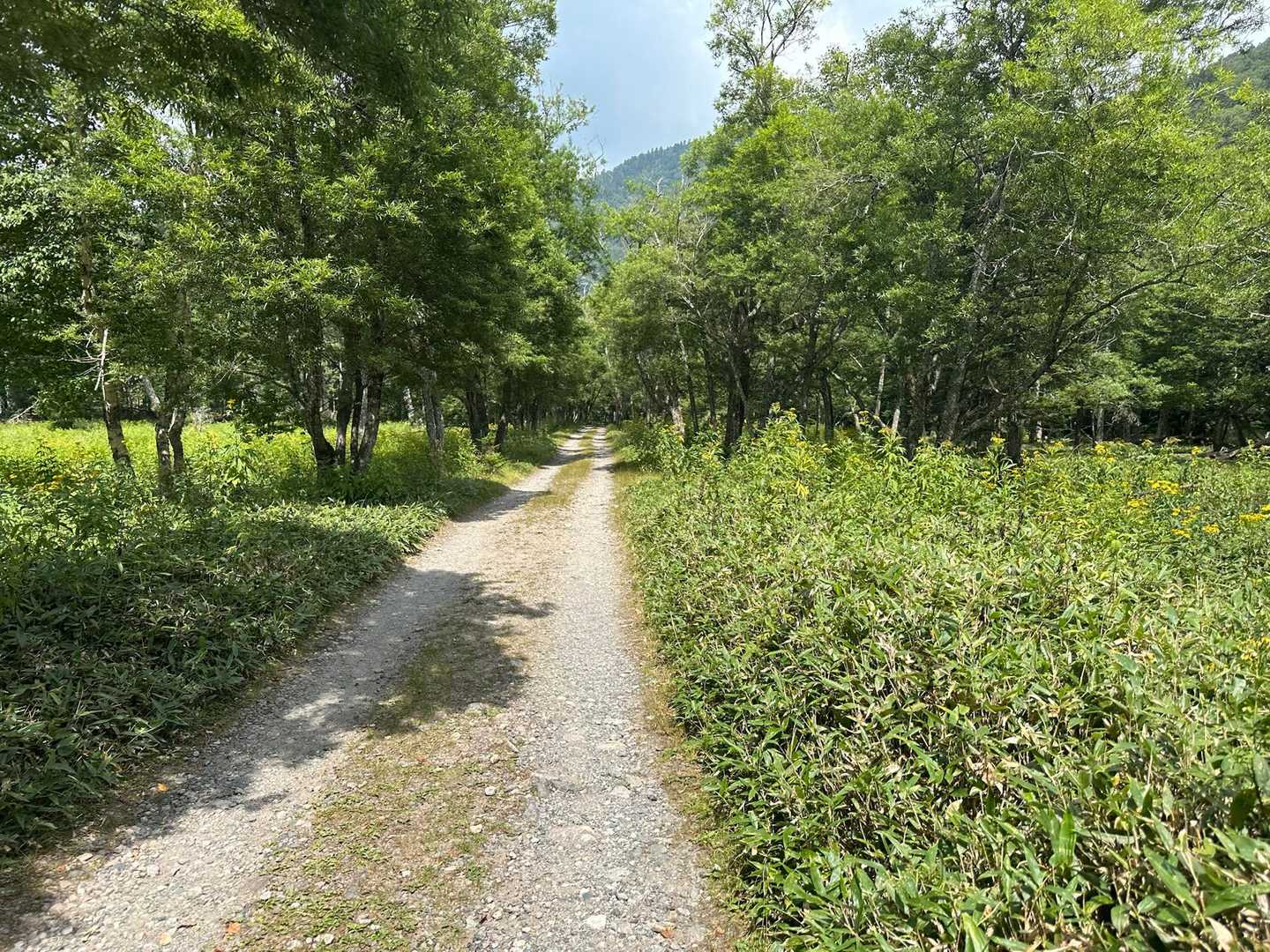 無事に下山、のんびり登山口に向かいます
お疲れ様でした