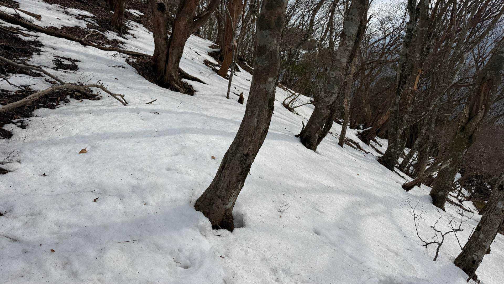 少なめだけど今期初雪山