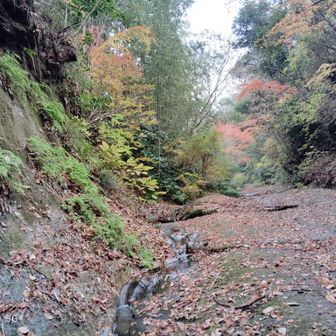 雨上がりは滑りそう