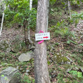 至る所に案内板があって安心して登れます。