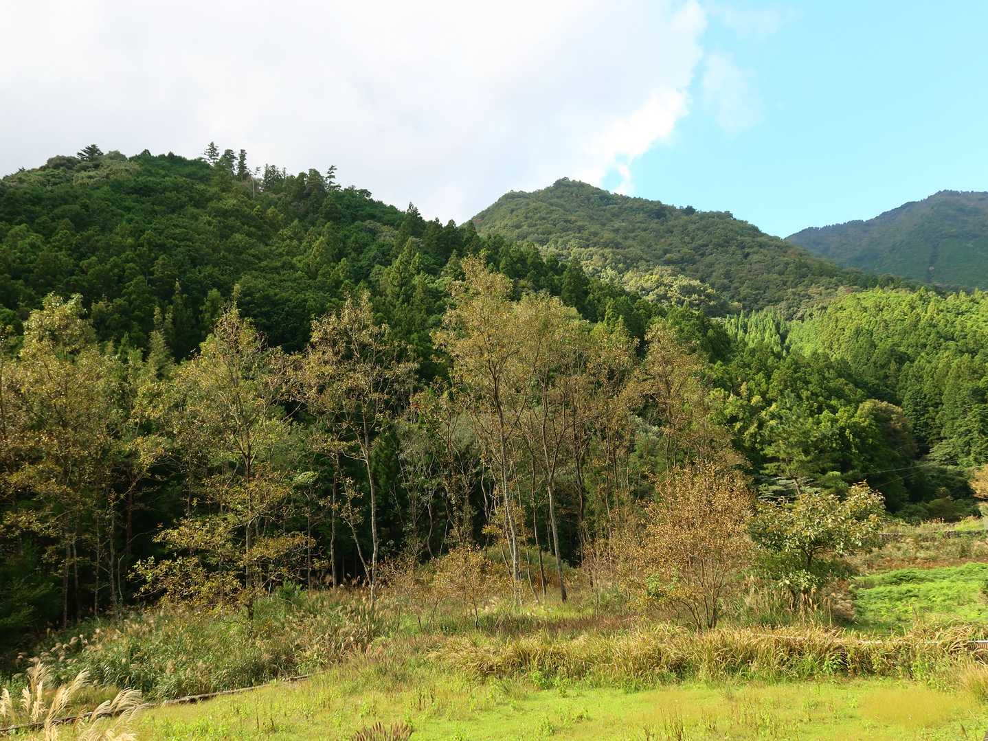 キャンプ場手前に感じ良い景色があったので撮ってみました。緊急事態宣言明けの土曜日って事もあって、キャンピングカーとかテント泊の人が少し多かったかも!?