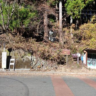 正面から山道へ入ります　
大霧山に向かいます