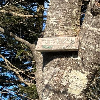 ヨモギノ頭山頂。強風で顔を下に向けながら登るが、目にゴミが😭