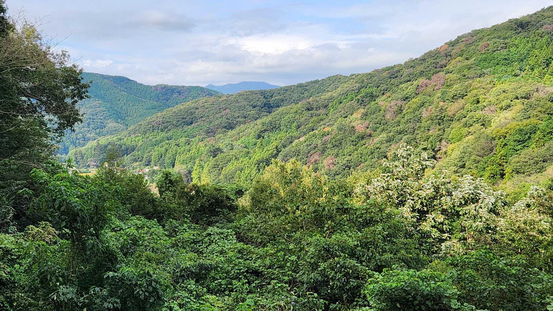 大平山 周回コースの写真