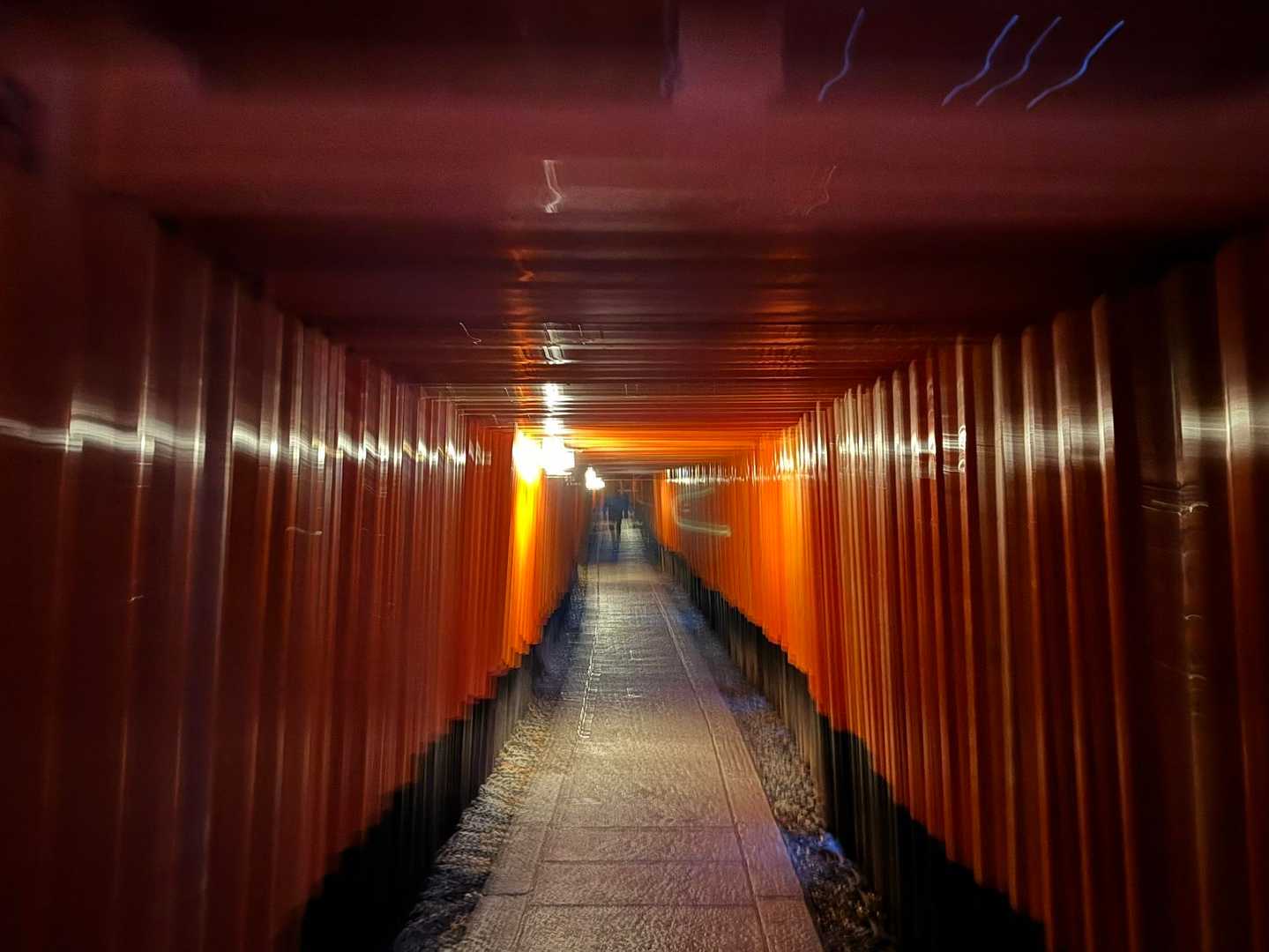 まだまだすいてて歩きやすい🚶
さすが早朝👍