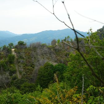 向こうに見えるのが、
この後向かう笠松山への道。