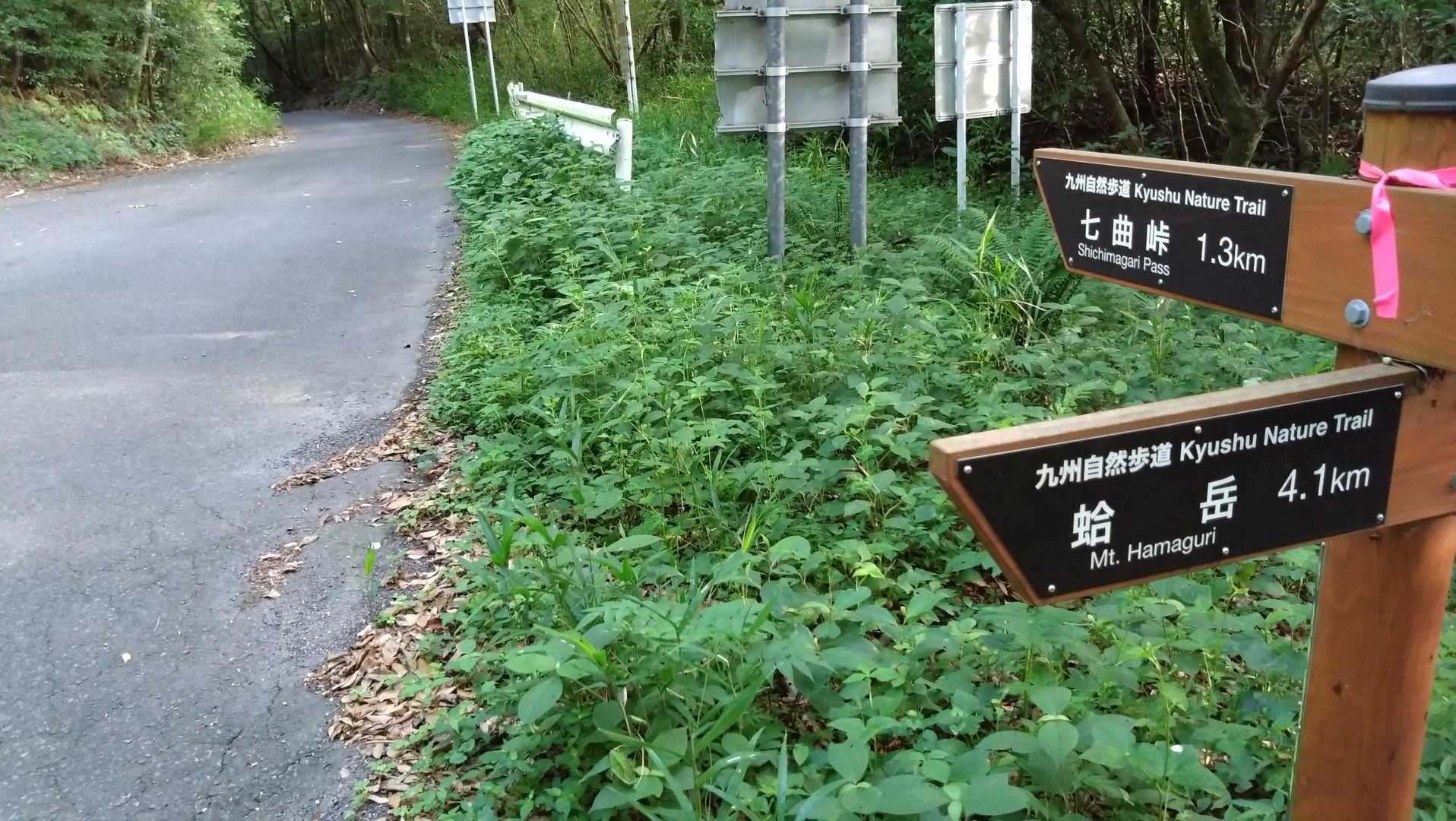 標識は豊富。坂本峠から蛤岳へ