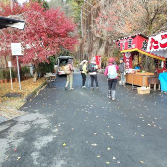 駐車場から、観光地なので、お店出てます