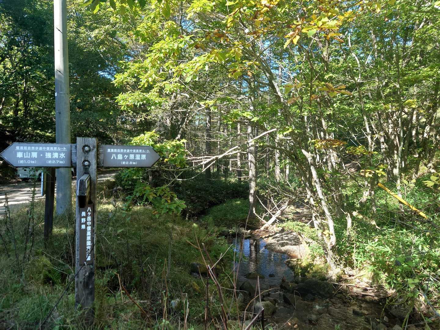 車山肩から八島湿原へ。
道中は雨あがりならよーく滑ります。