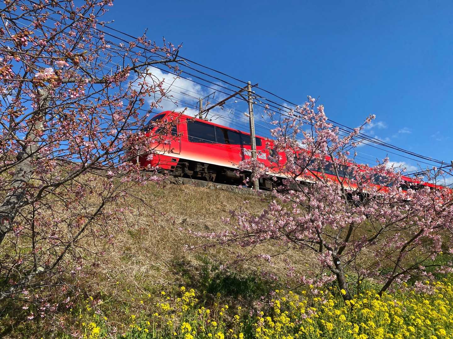 河津駅-河津城址公園入口-河津城山 往復コースの写真