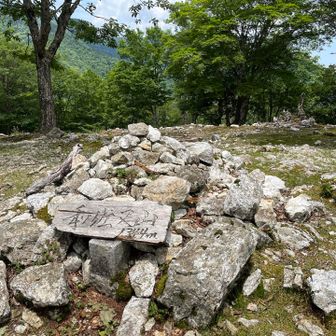 今日は、少し余裕あったので和佐又山頂上へ寄り道
お天気も良く楽しいルートでした😃