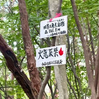 YAMAPでは未登録の山ですが、白樫山頂です。