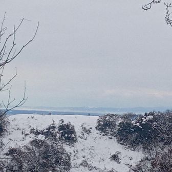 拡大すると城ヶ平山山頂に人がいるのが、見えます。
