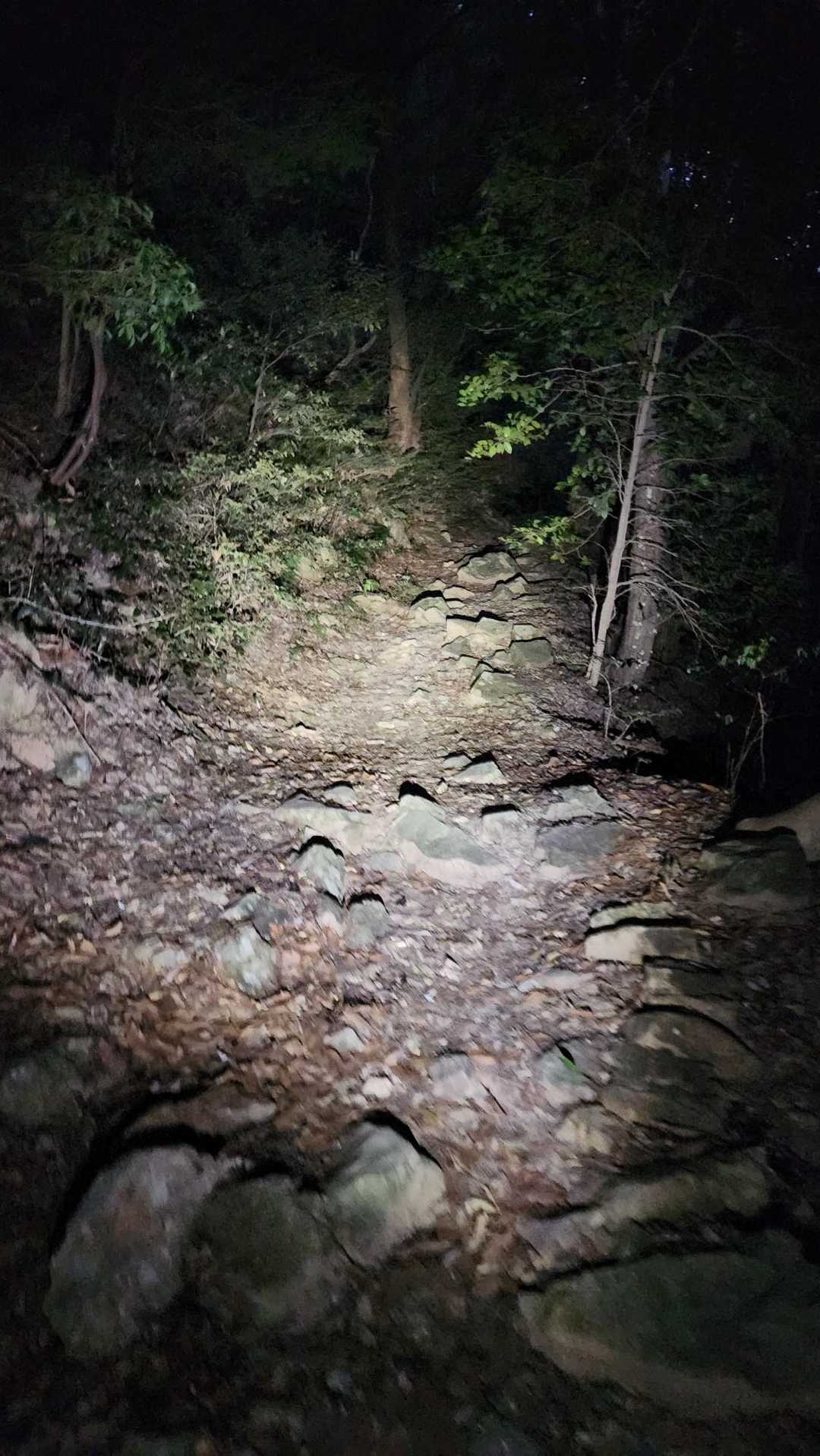 ライトオン🔦