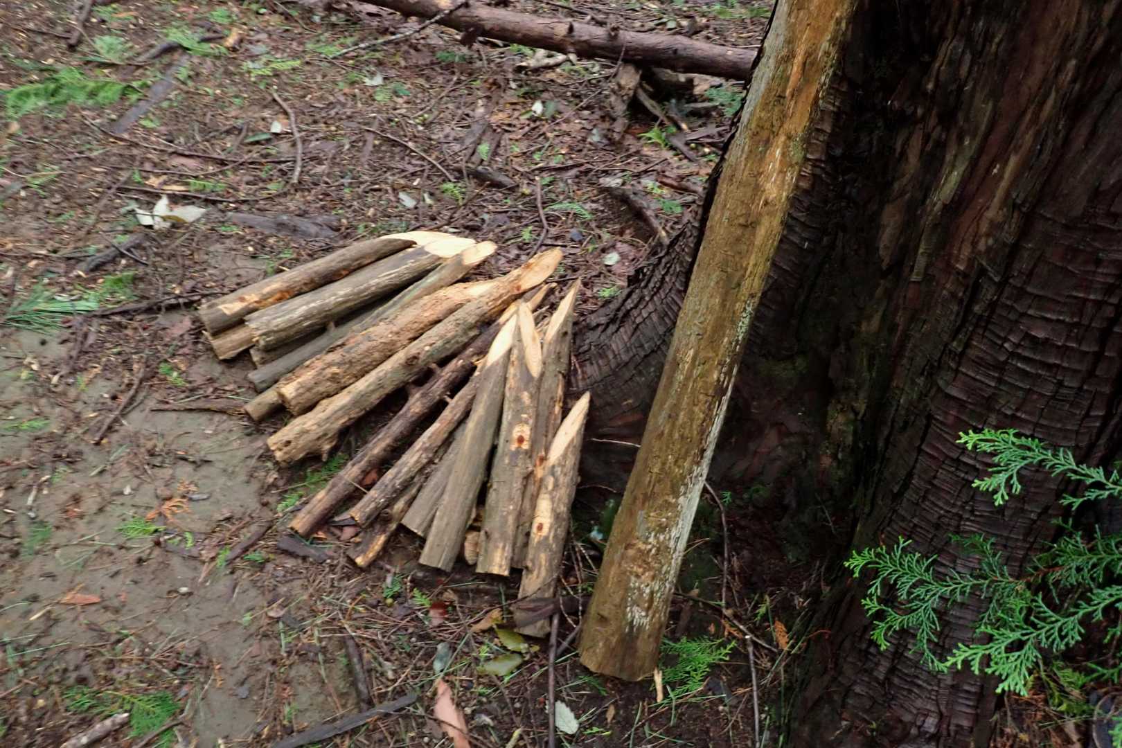 杭があります👇

登山道の整備されてる方、
有難うございます😊
