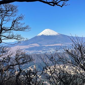 神の山からの富士山🗻