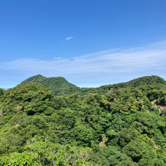 96、小鋸山へ㉟
左の高い山がさっきまでいた鋸山。そこから稜線沿いにここまで来たのね