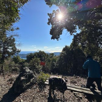 昨日のお山に雰囲気が似てる👀
木の間から少し眺望も望めます☺️