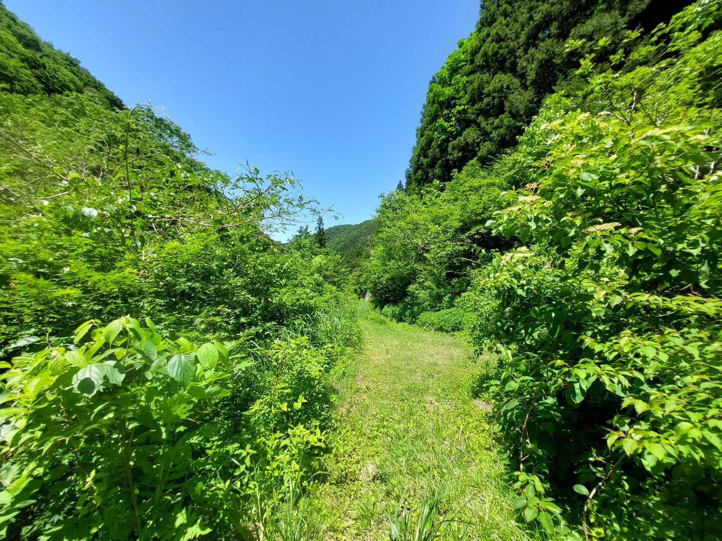 北丈競山-丈競山-浄法寺山-冠岳 周回コースの写真