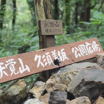 控えめな山頂標