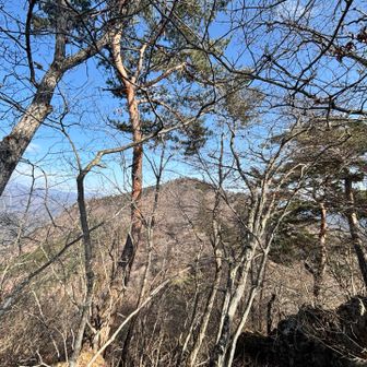 あちらが目指す高川山かな⁉️