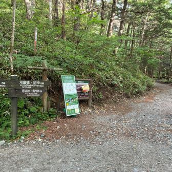 昔はこの徳本峠（とくごうとうげ）を越えて上高地や穂高に