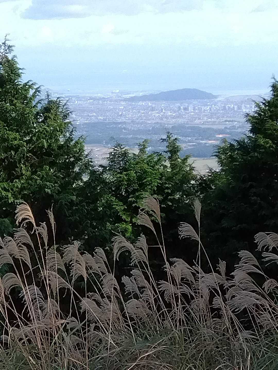 すすき🌾眺望⛰️