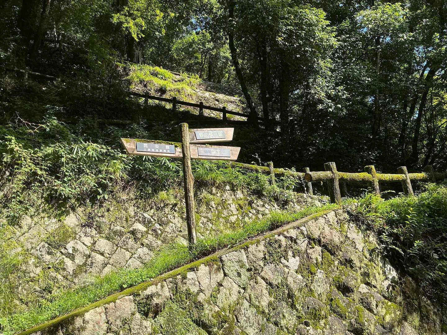 この上を行くと野口英世像があるみたい。
知らんかった〜

で、行けへんのかい‼️
はい🙂‍↕️
体力温存のために行きません😛
