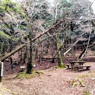 二本杉峠に戻ってきました。どれが二本杉なのか結局分かりませんでした。🌲🌲
ここは旧天城峠らしい。
天城峠まであと3.9km。