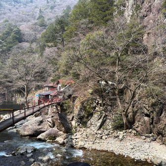 やっと黒渕まで来た
営業してないから、橋も渡れない
GWには再開するのかな