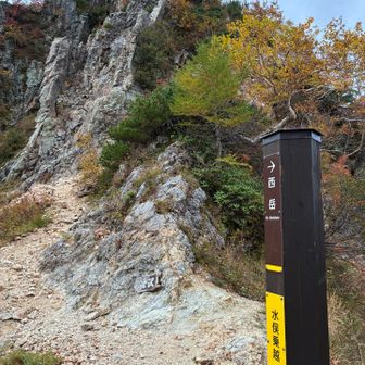 紅葉のトンネル急登を何とか登り切って水俣乗越到着💦