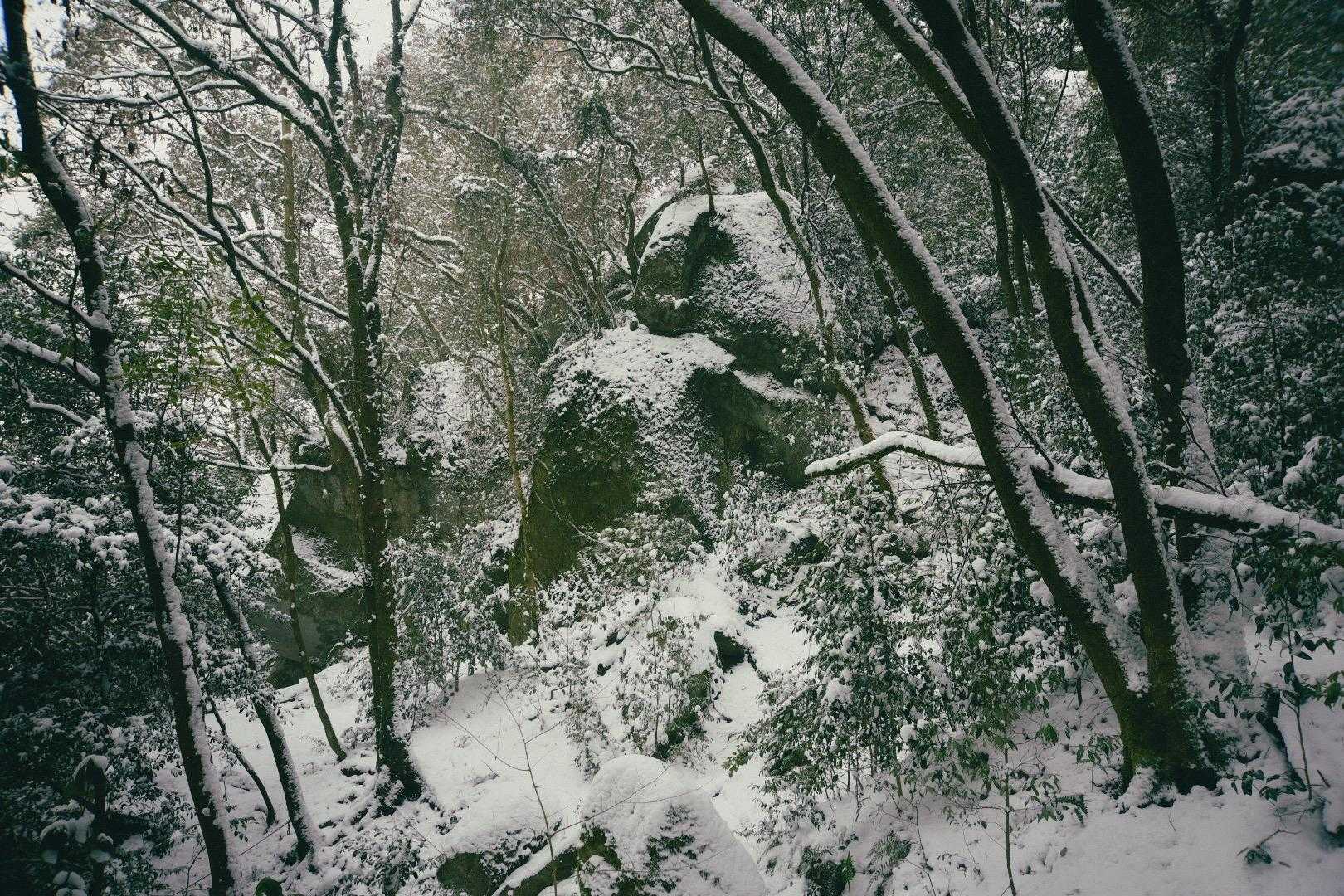 筑紫神社-城山 周回コースの写真