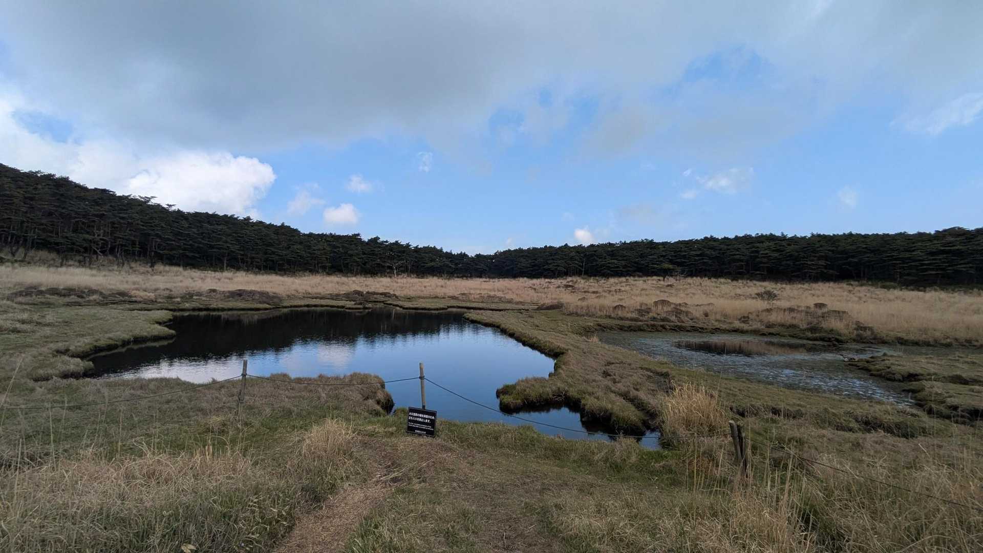 ちょっと水が溜まってます