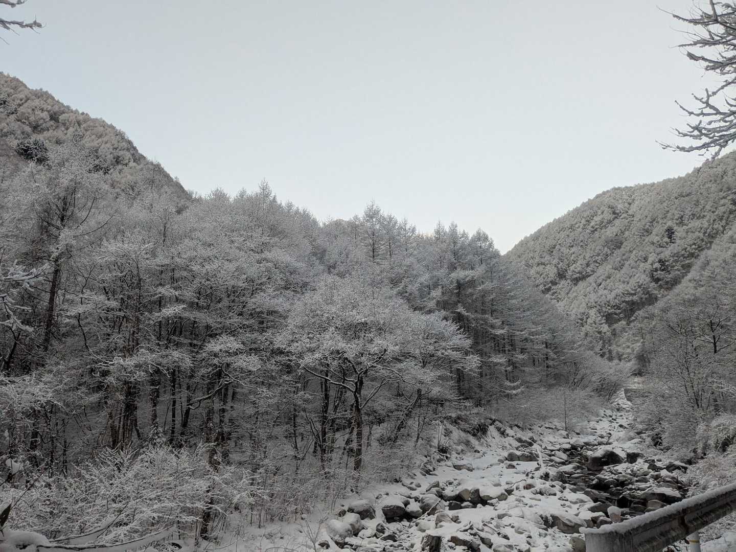将棊頭山往復 | 木曽駒ヶ岳から延びる美しい稜線上の頂は、太平洋と日本海の分水嶺の写真