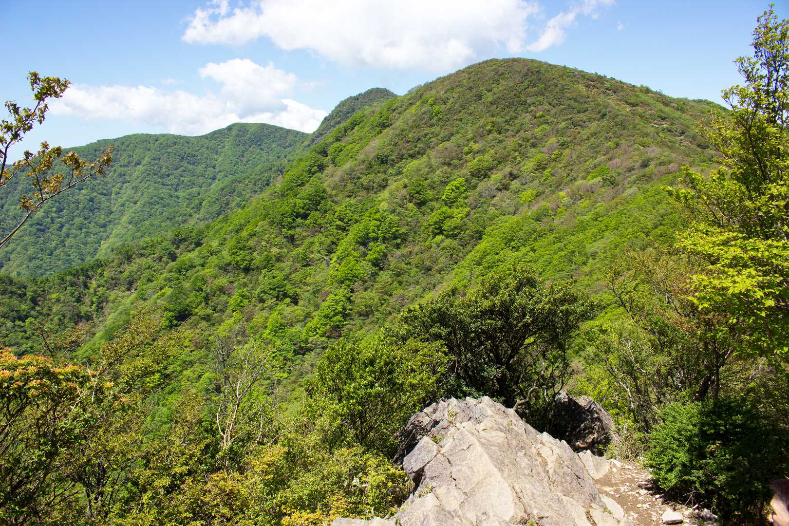 天城山の写真
