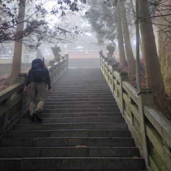 やっと奥の院手前の階段
ここに50丁目の石標があったらしい
本殿に意識がいき、見忘れました