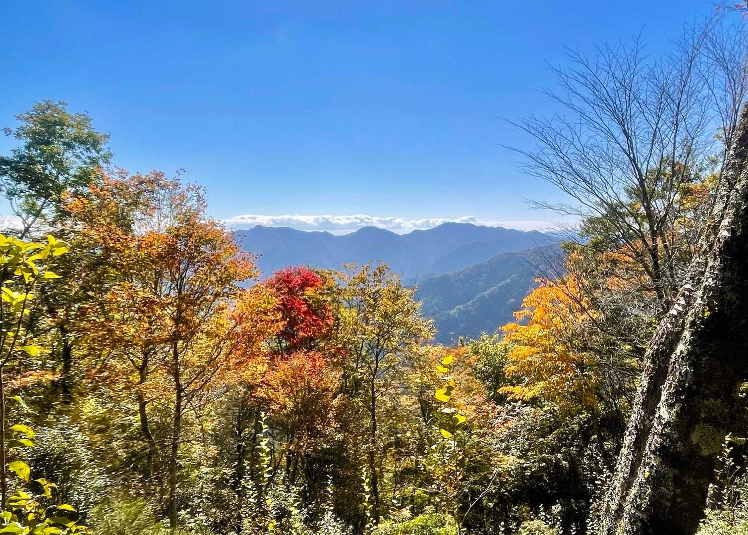 今日一番の眺望は東又峠のベンチから〜😆

ここが一番、紅葉🍁してる😌