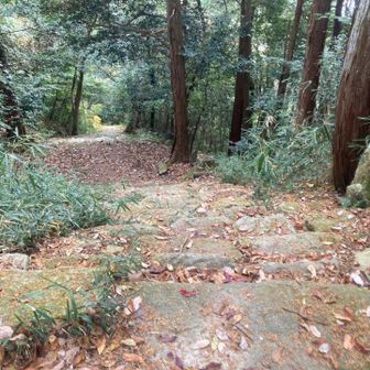 本丸跡の正面の石段を下って〜。