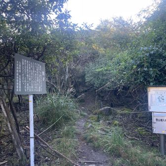 10台程停められる大曲登山口駐車場。平日だけど、なかなか停まっておりました🚗
スタート