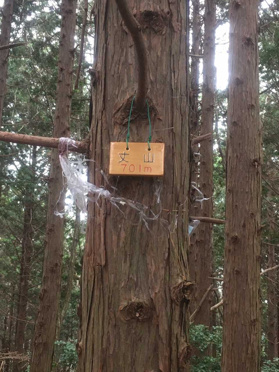 ちょっと足を伸ばして4座目の丈山🚩