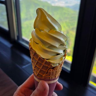 ソフトクリームまでいってしまいました
